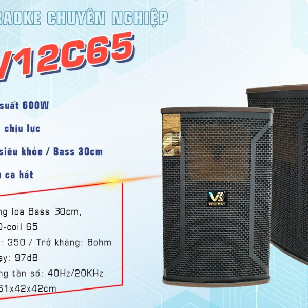 Loa Full VINHMAX V12C65