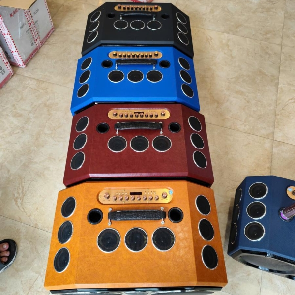 Loa xách tay V-225 D18 - Loa karaoke 18 đường tiếng [BH 12 tháng]