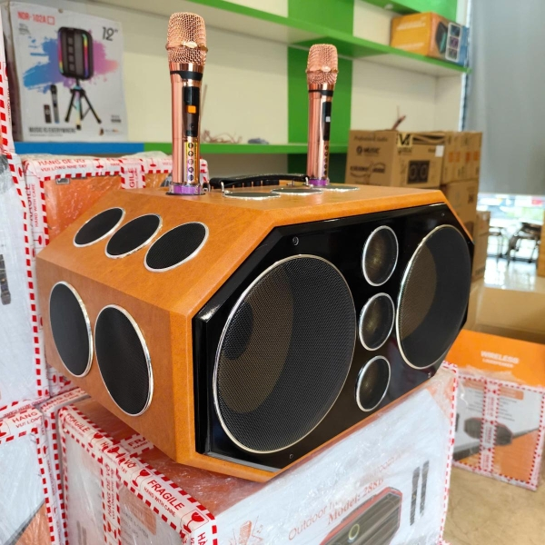 Loa xách tay V-225 D18 - Loa karaoke 18 đường tiếng [BH 12 tháng]