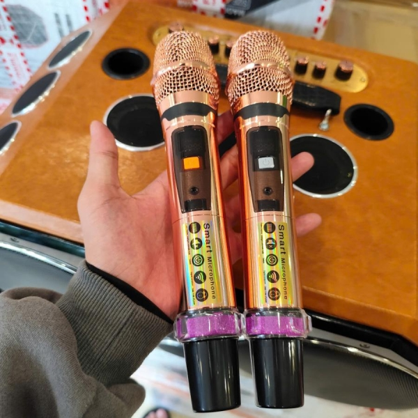 Loa xách tay V-225 D18 - Loa karaoke 18 đường tiếng [BH 12 tháng]