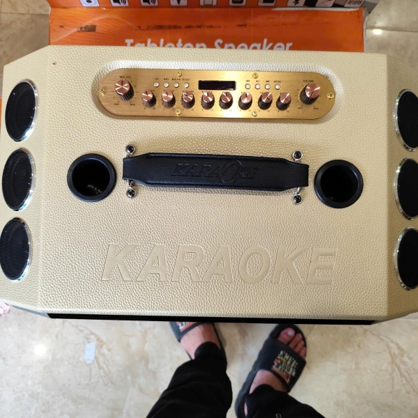 Loa xách tay V-220 D16 - Loa karaoke 2 bass 20 16 đường tiếng [BH 12 tháng]