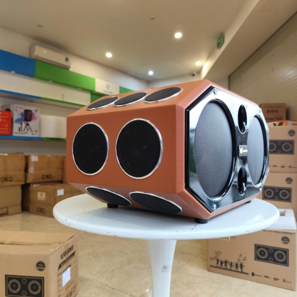 Loa Karaoke Xách Tay V-220 D20 – Công Suất Lớn – Bass Đôi 20cm – 20 Đường Tiếng