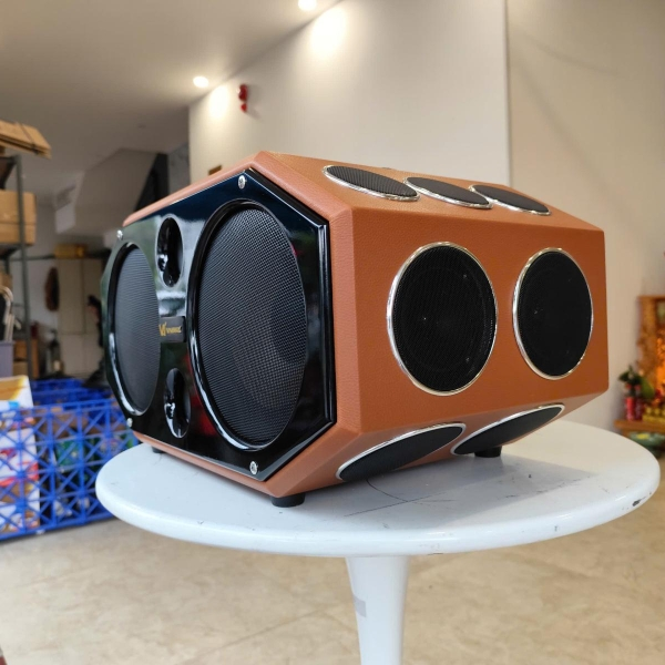 Loa Karaoke Xách Tay V-220 D20 – Công Suất Lớn – Bass Đôi 20cm – 20 Đường Tiếng