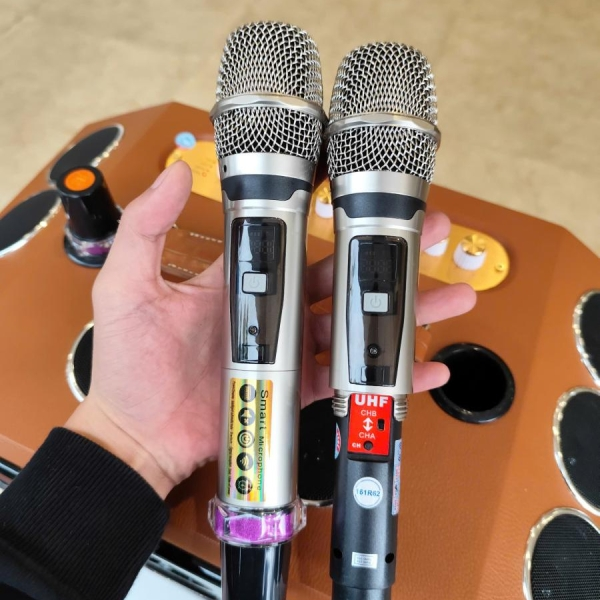 Loa Karaoke Xách Tay V-220 D20 – Công Suất Lớn – Bass Đôi 20cm – 20 Đường Tiếng