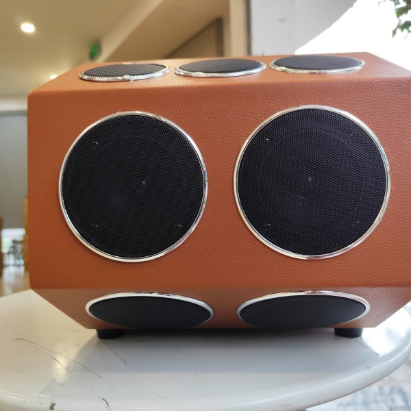 Loa Karaoke Xách Tay V-220 D20 – Công Suất Lớn – Bass Đôi 20cm – 20 Đường Tiếng