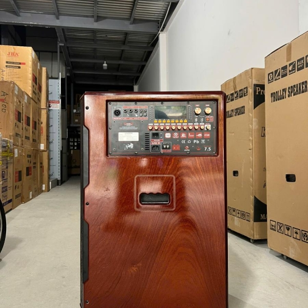 LOA BÌNH VINHMAX GN118G-01