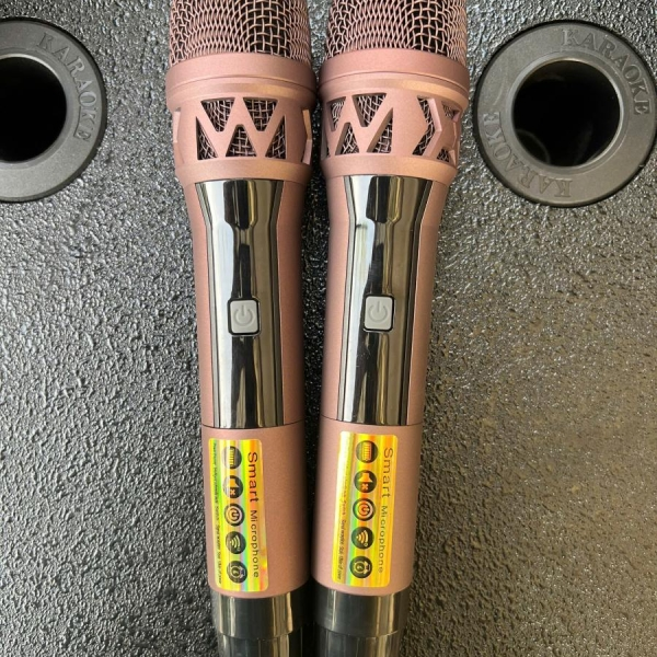 LOA BÌNH VINHPRO VP-6630