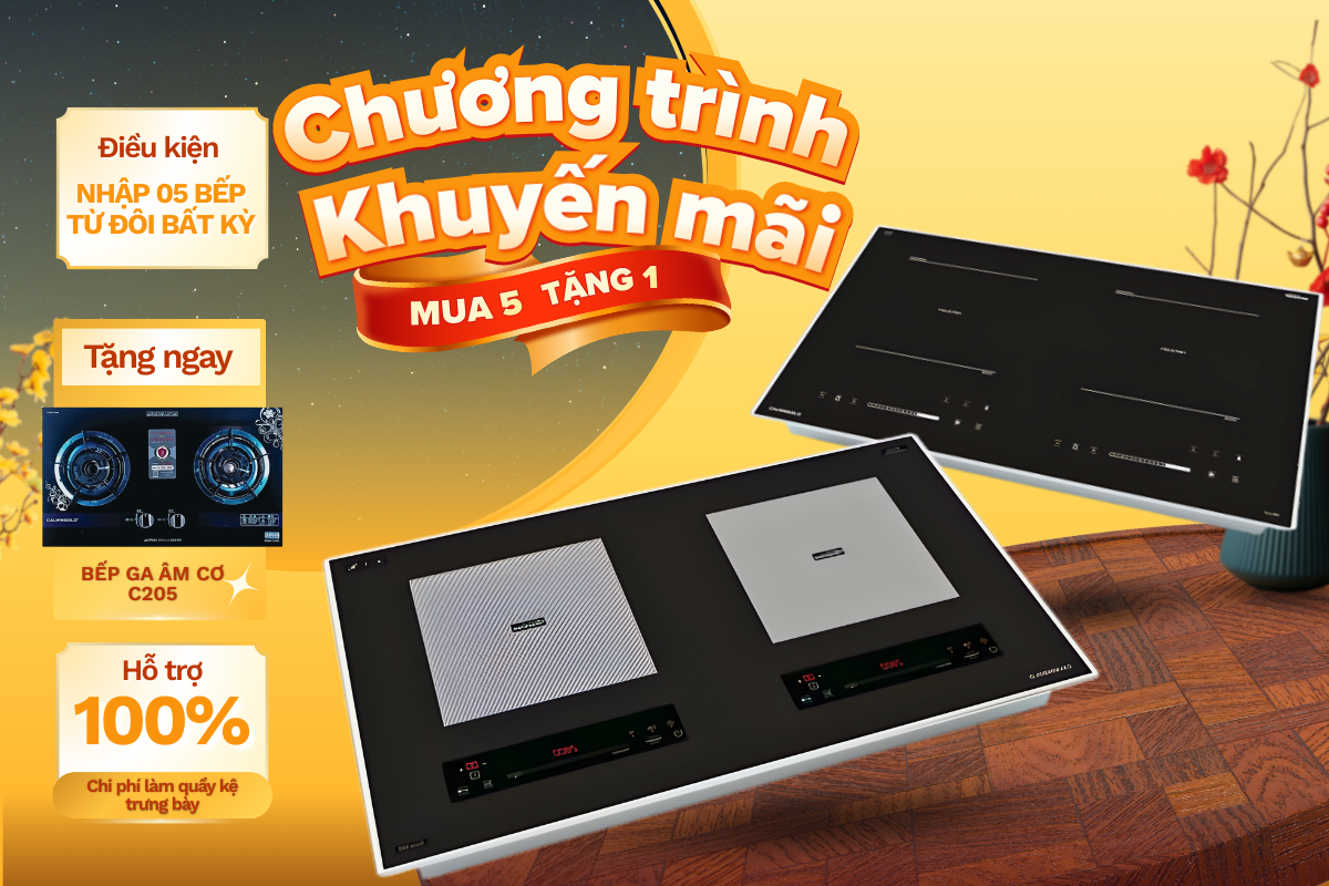 Mua 5 bếp từ đôi tặng 1 bếp gas âm